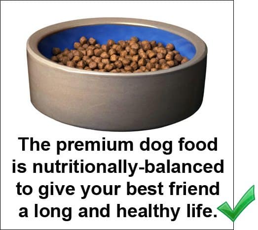 Example of a good photo caption: The premium dog food is nutritionally-balanced to give your best friend a long and healthy life.