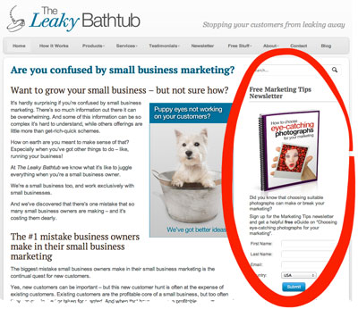 To attract as many email newsletter sign ups as possible, this box appears on most pages of my website. 