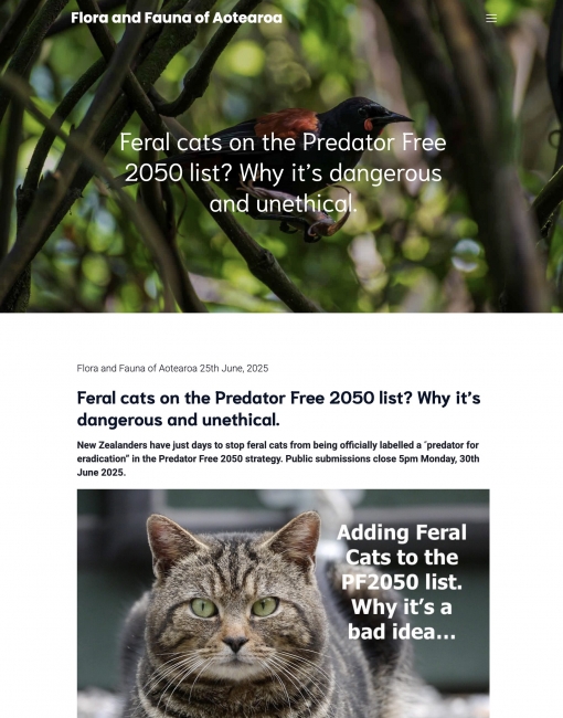Feral cat policy opinion piece – online article