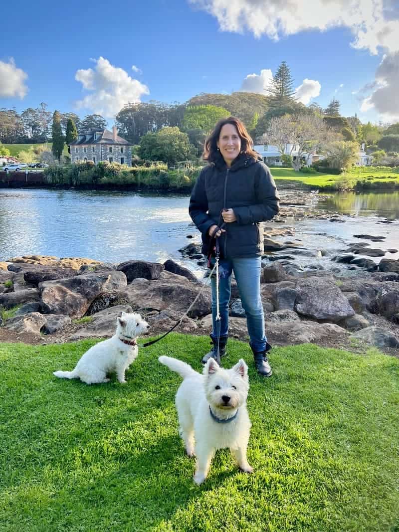 Life as a Kerikeri copywriter doesn't get much better than this: two happy Westies, and amazing scenery.